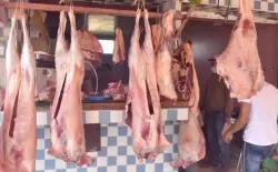 بعد إلغاء أضحية العيد... استمرار انخفاض أسعار اللحوم بـ10 دراهم للكيلوغرام في أول أيام رمضان